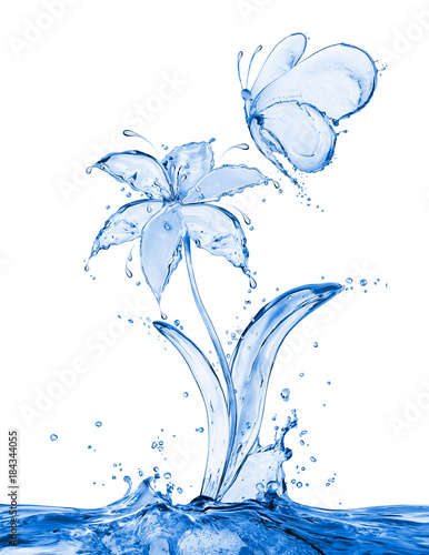 Butterfly and flower made of water splashes