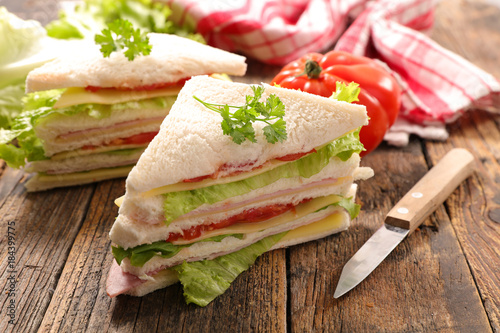 sandwich slices with salad and tomato