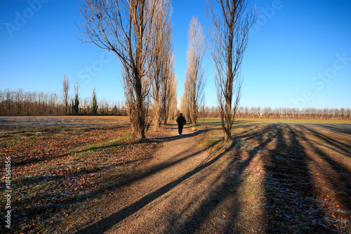 parco del Lura - Lomazzo (Como)