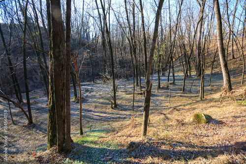 Parco del Lura - Lomazzo