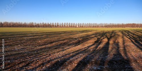 campi coltivati nel parco del Lura - Lomazzo (Como)