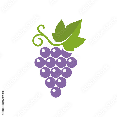 Grapes icon. Vector illustration of simple color grape with leaf, isolated on white.