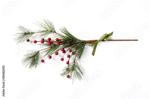 christmas holly branch