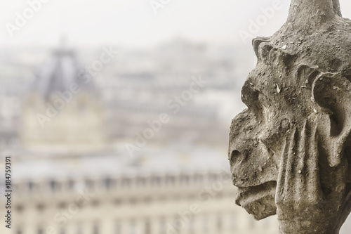 Closeup of a chimera of the Notre-Dame of Paris cathedral (France) - horizontal