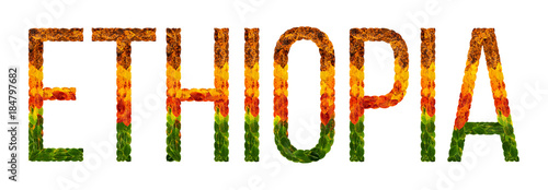 word ethiopia country is written with leaves on a white insulated background, a banner for printing, a creative developing country colored leaves ethiopia