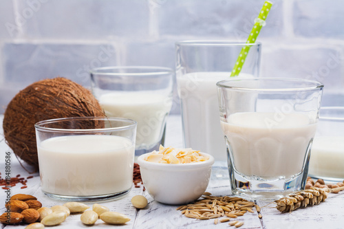 Assortment of non dairy vegan milk and ingredients