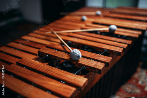 Xylophone closeup, wooden percussion instrument