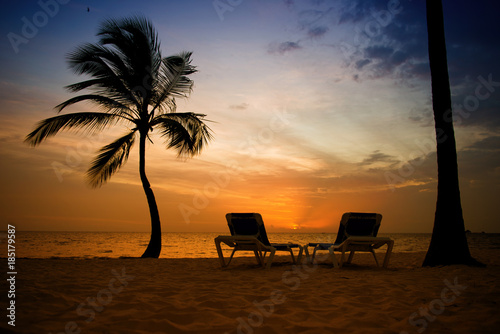 Palm trees silhouette at sunset tropical beach. Orange sunset.