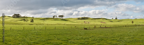 Farm in New Zealand