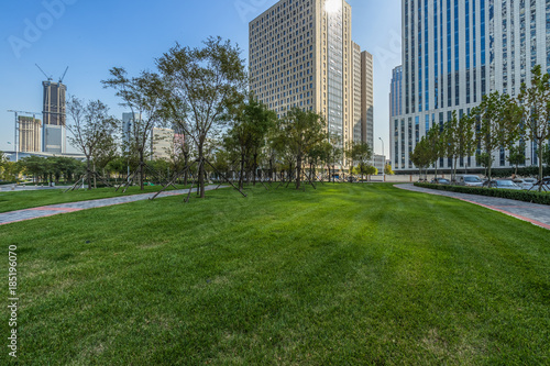 The grass and the city in Tianjin, China