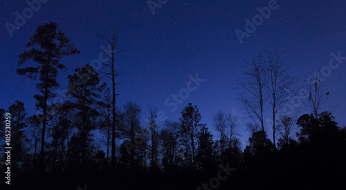 Plane contrail at night near Raeford North Carolina with the thick forest silhouetted by the blue sky