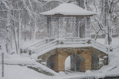 Morning after snowfall in Oleksandria Park