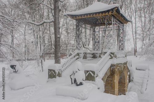 Morning after snowfall in Oleksandria Park