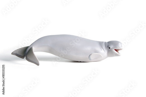 white beluga whale