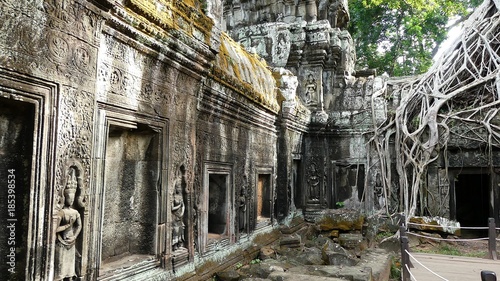 Dschungel-Tempel Ta Prohm, Kambodscha