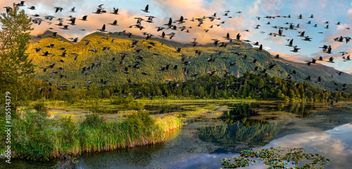 Cheam Lake Wetlands Regional Park, Rosedale, British Columbia, Canada