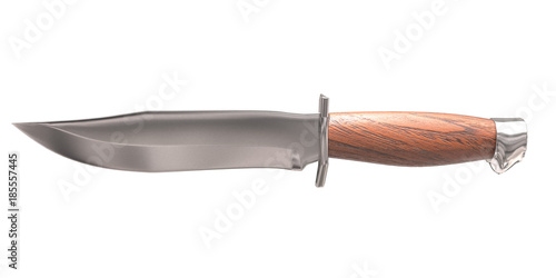 3d rendering bowie knife