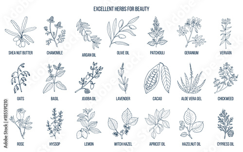 Best herbs for beauty.