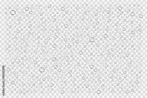 Vector realistic isolated water droplets for decoration and covering on the transparent background.