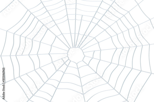 Spider Web closeup, 3D rendering