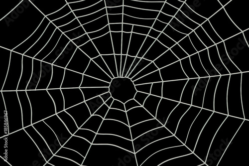 Spider Web, 3D rendering