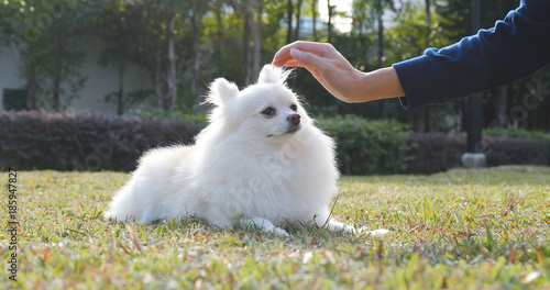 Woman caress on her dog in city park