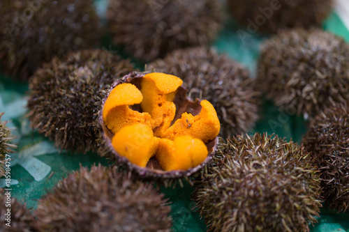 Uni Urchin Sashimi fresh seafood from Japan