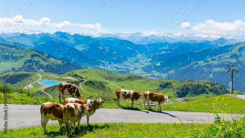 Herrlicher Panoramawanderweg - Wandern auf dem Kitzbüheler Horn