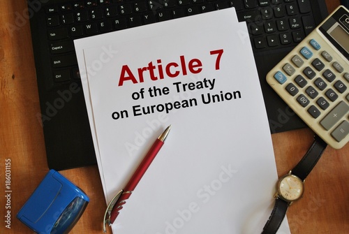 Article 7