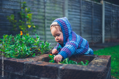 Cute little baby doing gardening