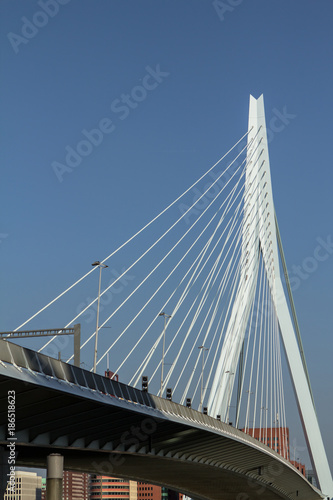 Erasmus Bridge in Rotterdam, Netherlands