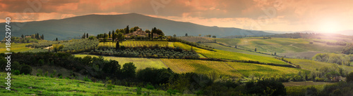 Beautiful Tuscan landscape at sunset with olive trees, cypress and vineyards near Castellina in Chianti, Siena. Italy.