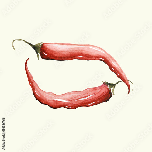 Papryka chili - ilustracja ręcznie malowana