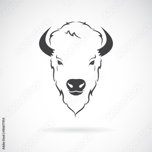 Vector of a buffalo head design on white background. Wild Animals.