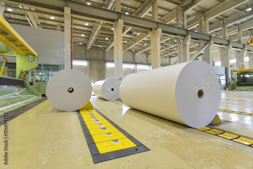 Papierrollen in einer Papierfabrik - Verarbeitung von Altpapier // Paper rolls in a paper mill - processing of waste paper