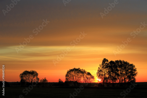 Sunset over the grassy meadows and wetlands - wildlife and birds reserve - and the Biebrza river in the Biebrzanski National Park in Poland