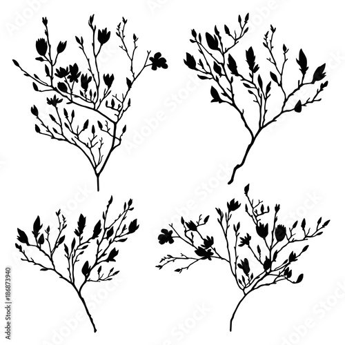 branches vector silhouette set