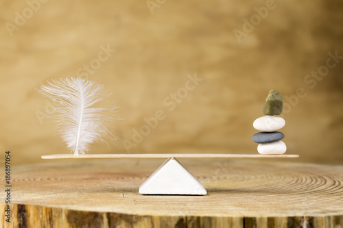 Balance and Feather Zen Stone