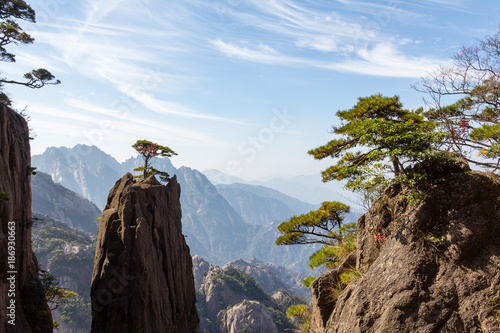 Solitary tree in the Grand Canyon of the West Sea on Mt Huangshan (Yellow Mountain), Anhui, China. Mount Huangshan is one of the most famous of China, and has inspired hundreds of poets and painters