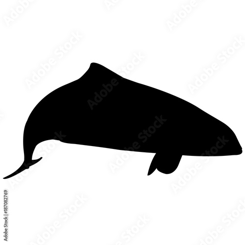 Porpoise Silhouette Vector Graphics