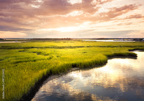 Aerial view of a swamp at sunrise