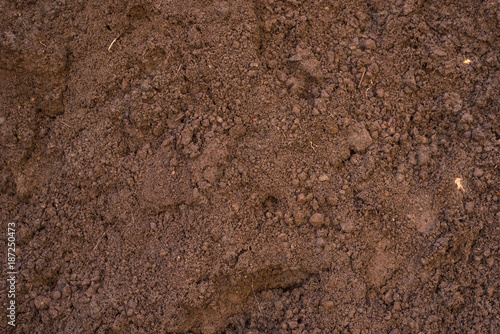 Sandy loam - soil background, texture