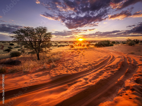 Beautiful sunset over the scenic kalahari-landscape in Namibia