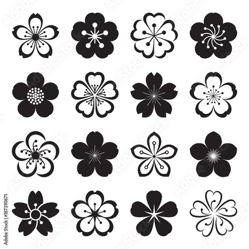 Sakura icons. Collection of 16 Ume Japanese cherry blossom symbols isolated on a white background. Vector illustration