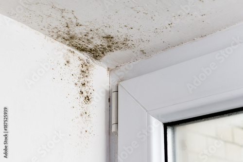 Mold in the corner of the plastic windows