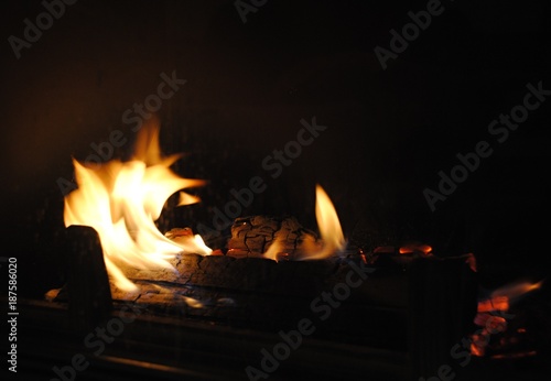 Fire burning in a family fireplace