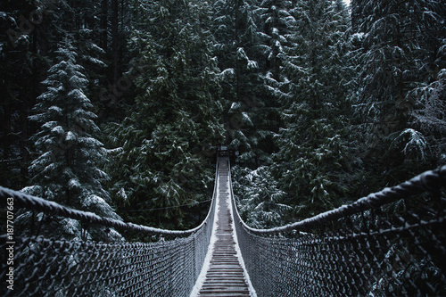 Suspension bridge in the forest. Evergreen. Vancouver nature. Winter snow. Pacific north west. Nature. Vancouver landscape.