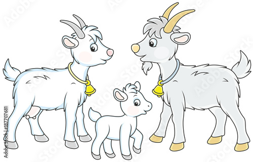 A small white kid, a goat and a he-goat, a vector illustration in funny cartoon style