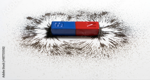 Red and blue bar magnet or physics magnetic with iron powder magnetic field on white background. Scientific experiment in science class in school.