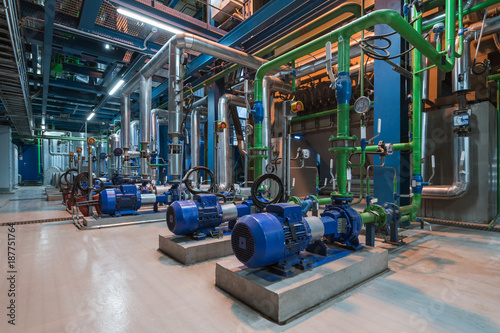 Pumps in a cogeneration station